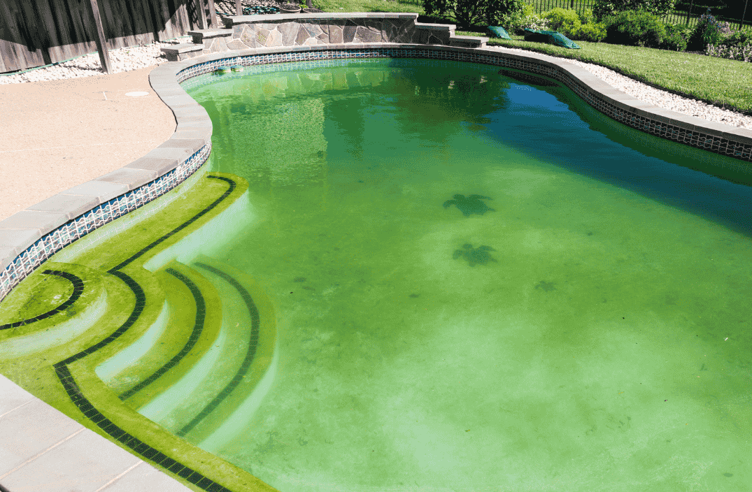 How to Get Rid of Pool Algae: A Comprehensive Guide to Clear Green Pool Water